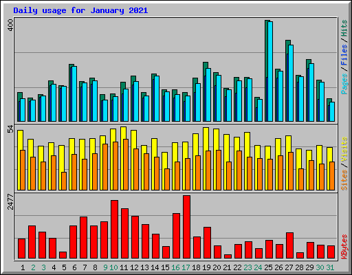 Daily usage for January 2021