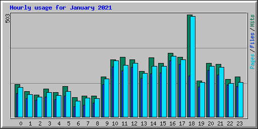 Hourly usage for January 2021