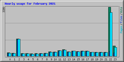 Hourly usage for February 2021