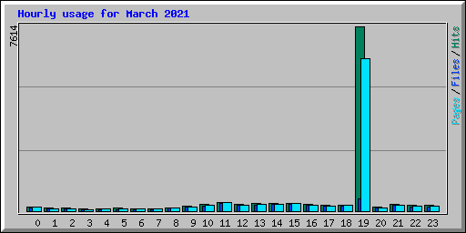 Hourly usage for March 2021