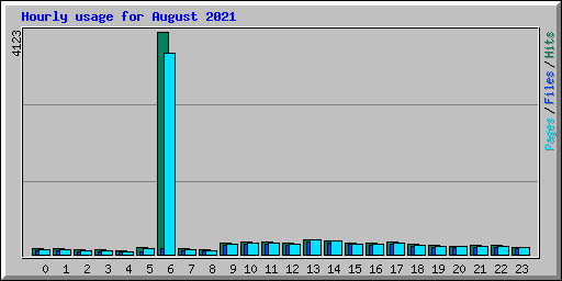 Hourly usage for August 2021