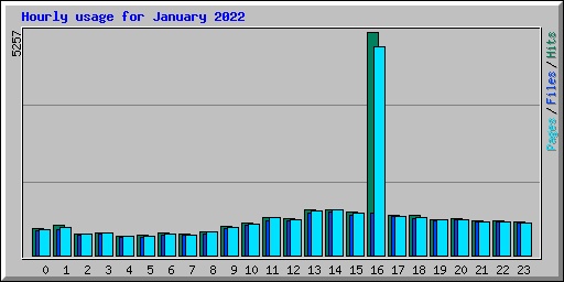 Hourly usage for January 2022