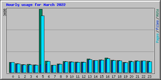 Hourly usage for March 2022