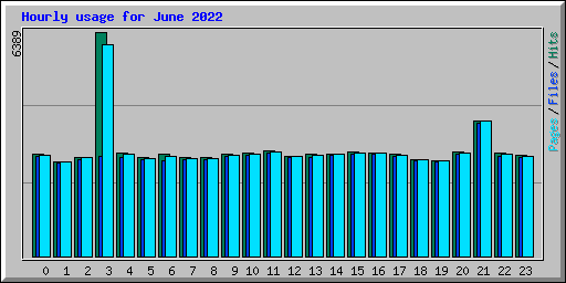 Hourly usage for June 2022