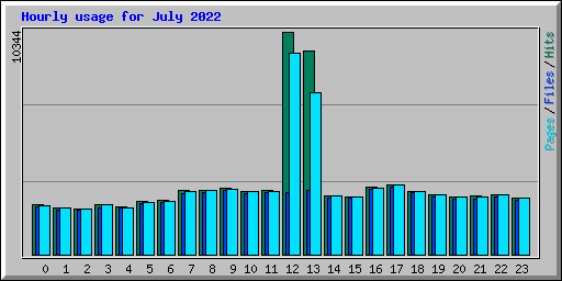 Hourly usage for July 2022