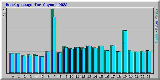 Hourly usage for August 2022