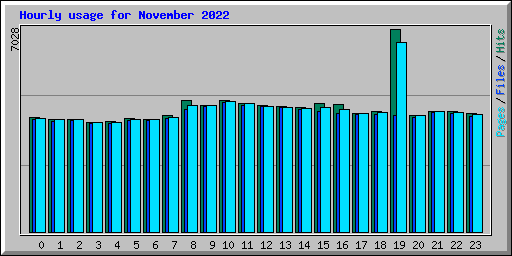 Hourly usage for November 2022