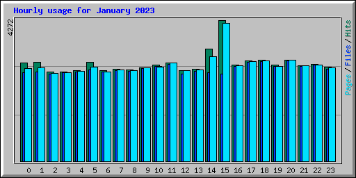 Hourly usage for January 2023