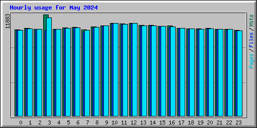 Hourly usage for May 2024