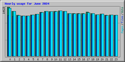 Hourly usage for June 2024