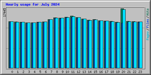 Hourly usage for July 2024