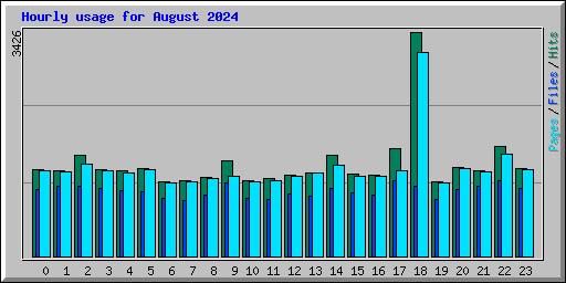 Hourly usage for August 2024