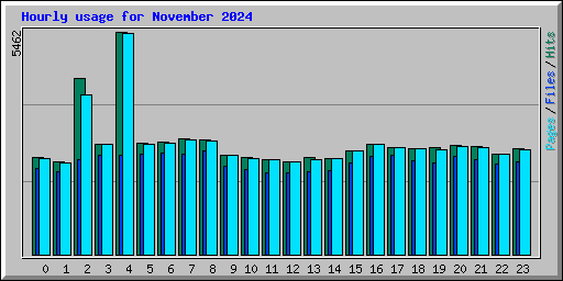 Hourly usage for November 2024