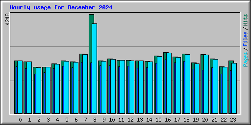 Hourly usage for December 2024