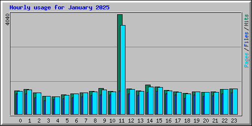 Hourly usage for January 2025